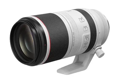 Canon RF100-500MM F4.5-7.1 L IS Usm Lens