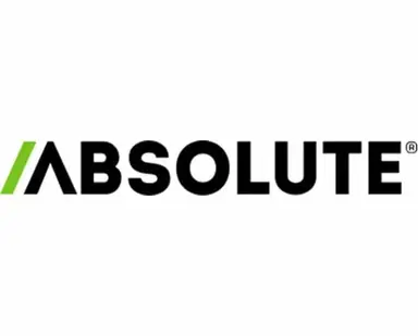 Absolute Dds Professional - 36 Month Ter