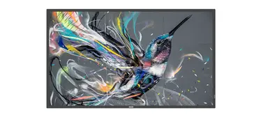 43BDL3511Q/00 - LCD Display - Flat - 3840 X 2160 - 43INCH - 8MS Response Time -