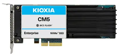 Hhhl CM5-V 6.4TB MS Aic
