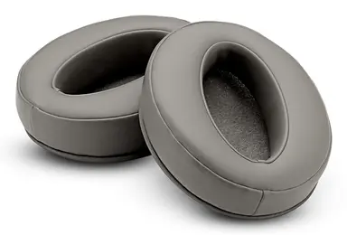 Adapt 360 White Earpads