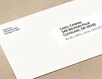 Label - 1.1 in X 3.5 in - White - Convenient Address Labeling: 2 Rolls (260 Labe