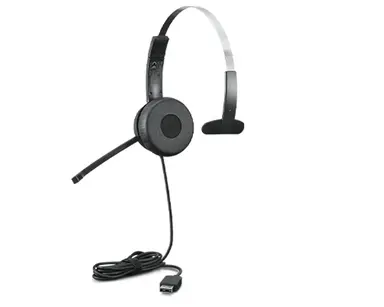 Audio_bo Lenovo 100 Mono USB HS